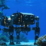 Beyond the Reef: High School Robotics Teams Dive into Innovation at the Seven Rivers Regional